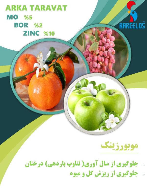 کود فروت ست موبورزینک بارسلوس - Image 3
