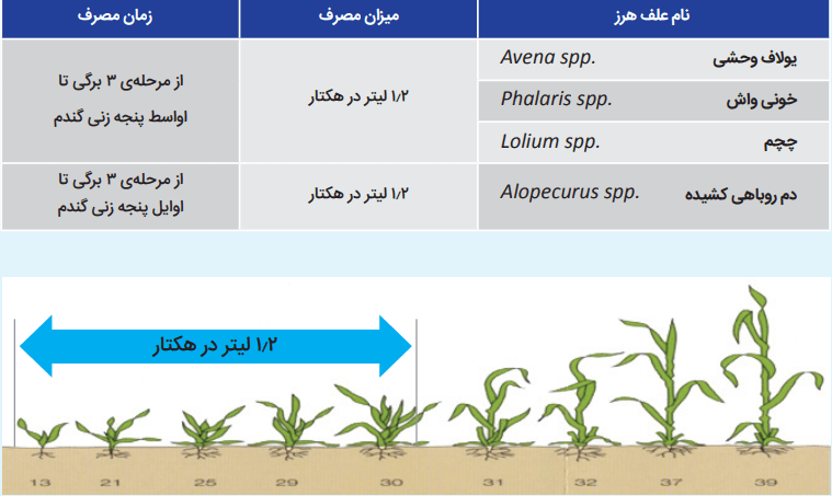 تراکسوس